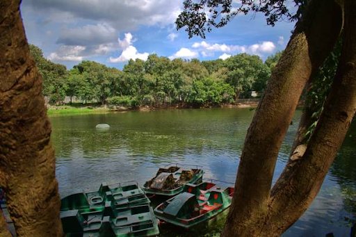 Wildlife in Bannerghatta National Park